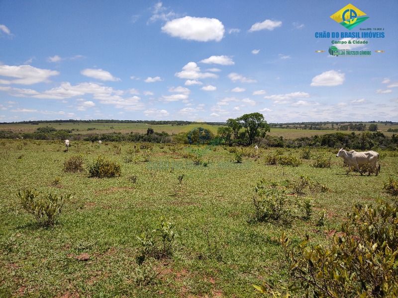 Fazenda à venda com 4 quartos - Foto 11