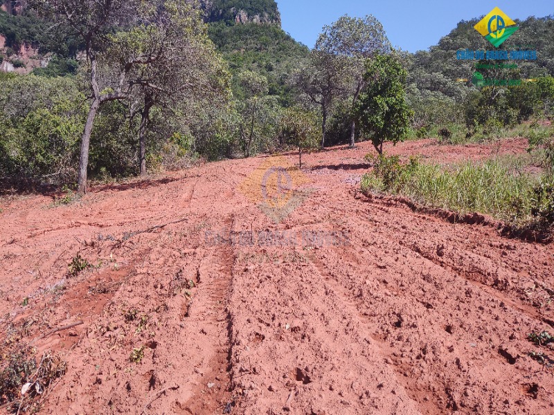 Fazenda à venda com 2 quartos, 80m² - Foto 18