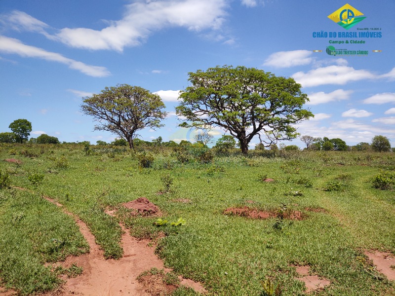 Fazenda à venda com 4 quartos - Foto 43