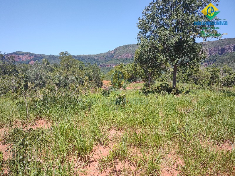 Fazenda à venda com 2 quartos, 80m² - Foto 12