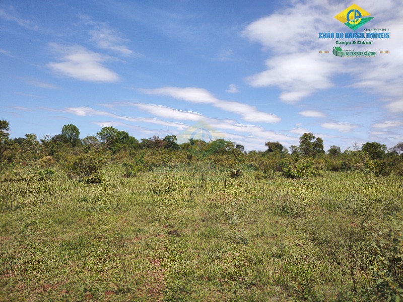 Fazenda à venda com 4 quartos - Foto 30