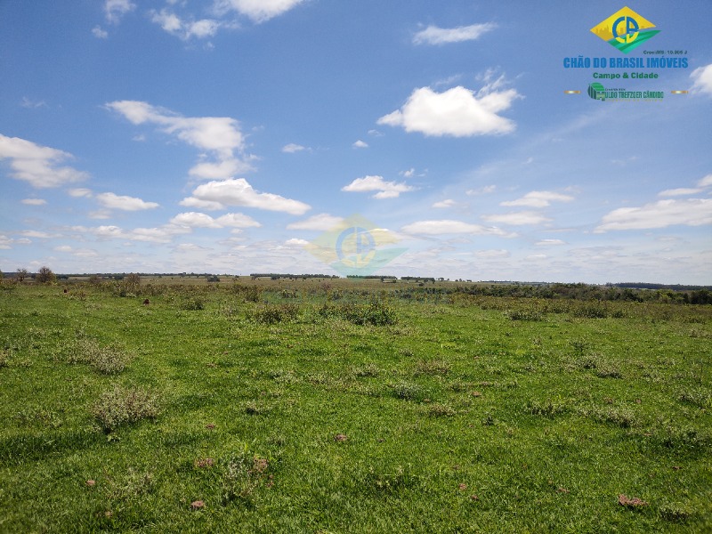 Fazenda à venda com 4 quartos - Foto 46