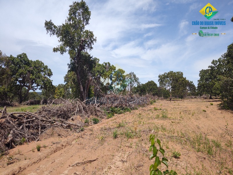 Fazenda à venda com 3 quartos - Foto 33