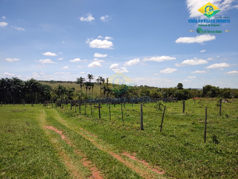 Fazenda à venda com 4 quartos - Foto 5