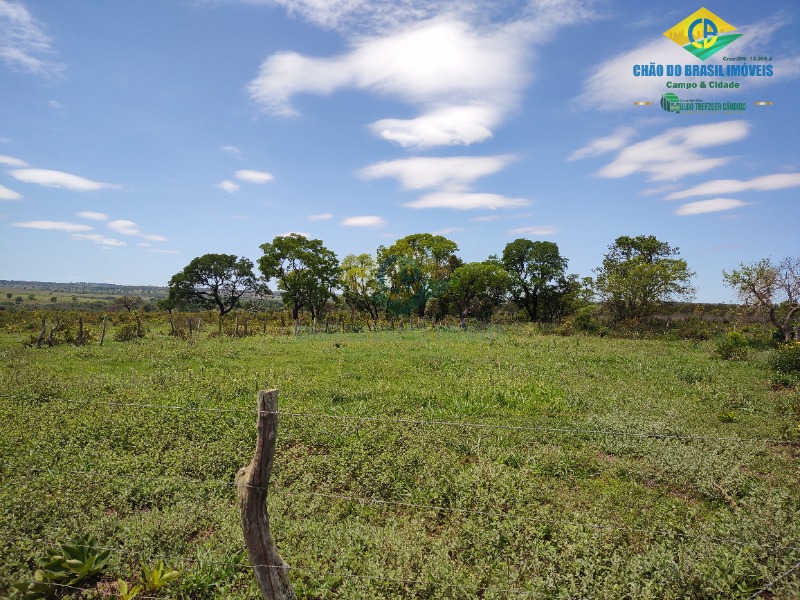 Fazenda à venda com 4 quartos - Foto 33