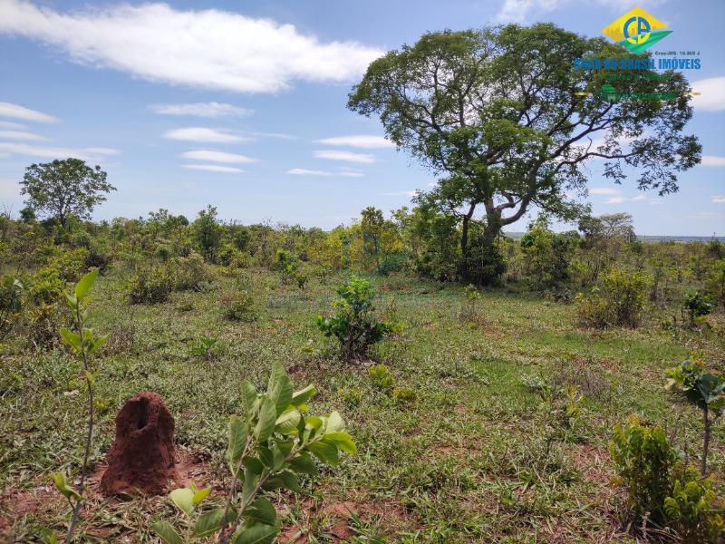 Fazenda à venda com 4 quartos - Foto 1