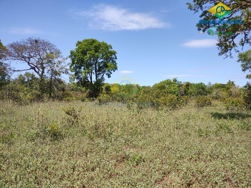 Fazenda à venda com 4 quartos - Foto 19