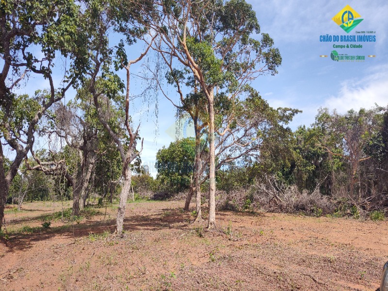 Fazenda à venda com 3 quartos - Foto 37