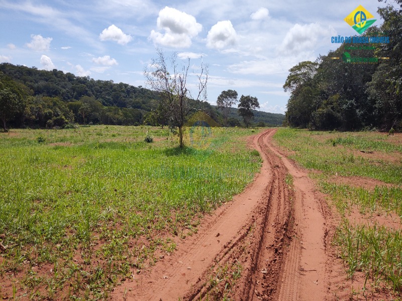 Fazenda à venda com 3 quartos - Foto 48