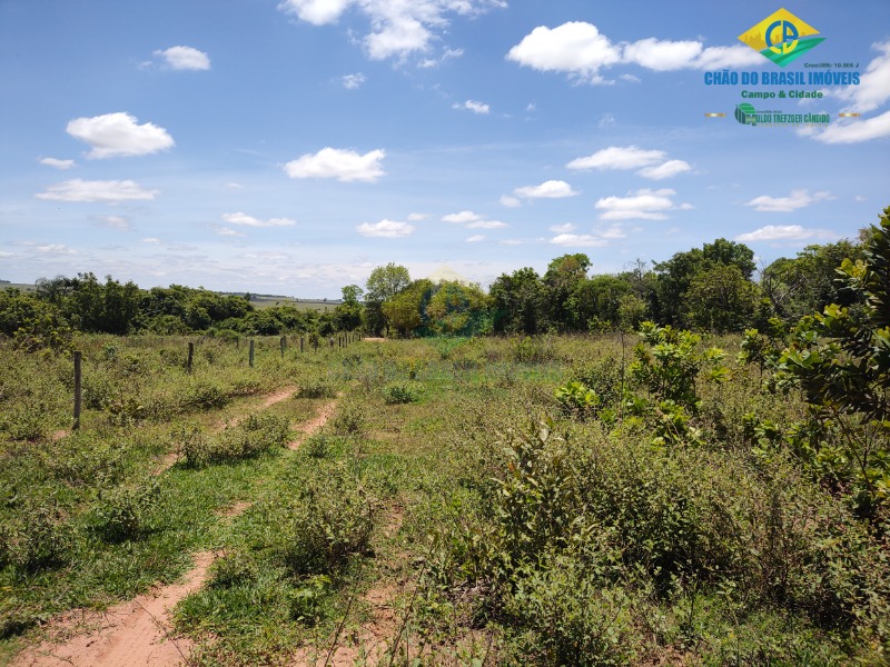 Fazenda à venda com 4 quartos - Foto 12