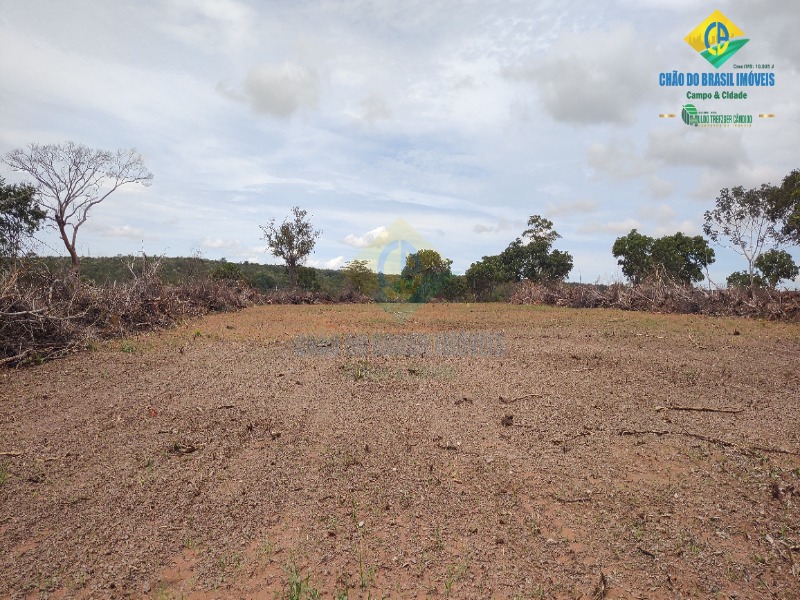 Fazenda à venda com 3 quartos - Foto 60