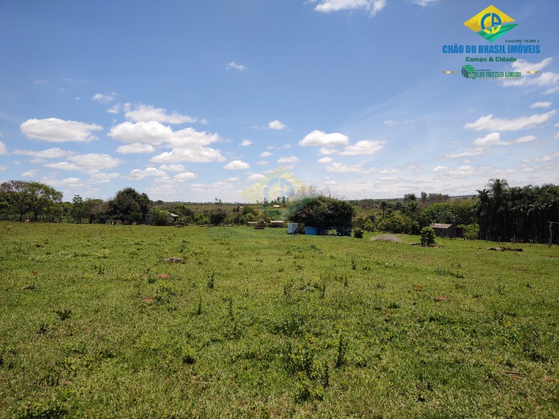 Fazenda à venda com 4 quartos - Foto 6