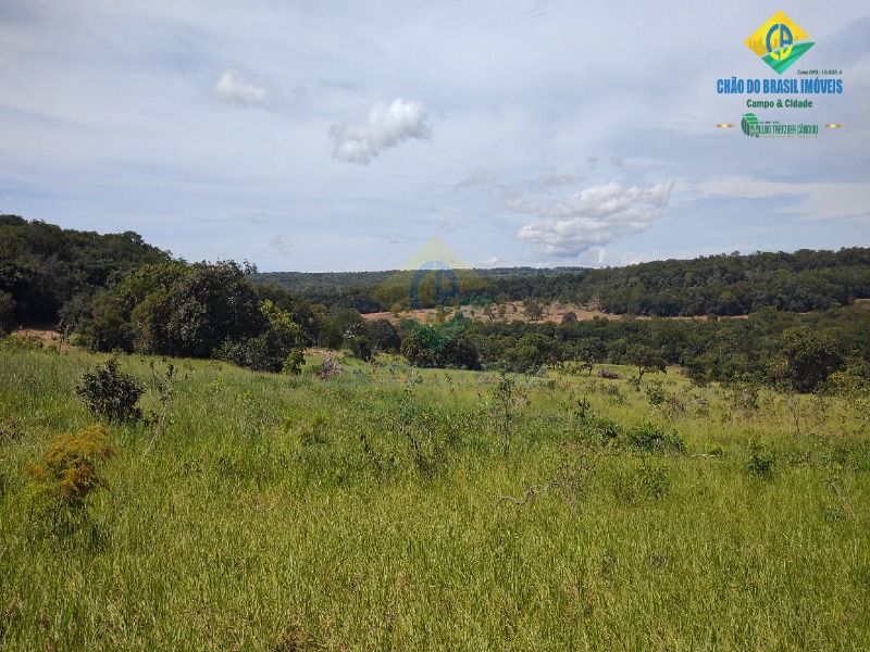 Fazenda à venda com 3 quartos - Foto 42