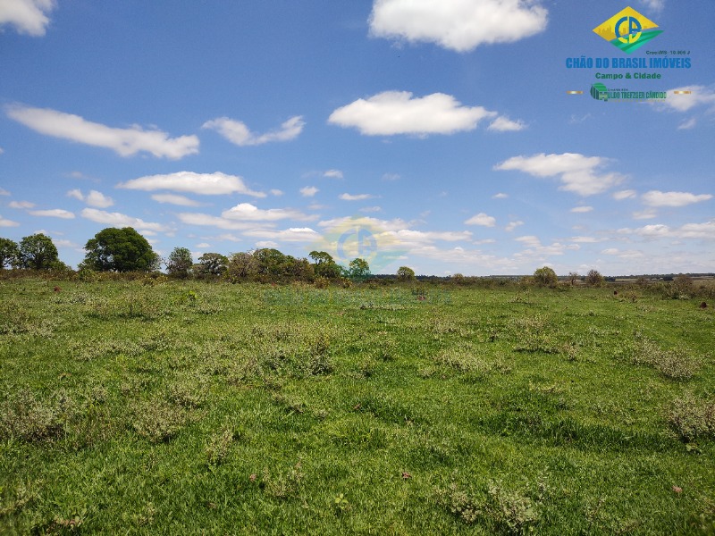 Fazenda à venda com 4 quartos - Foto 48