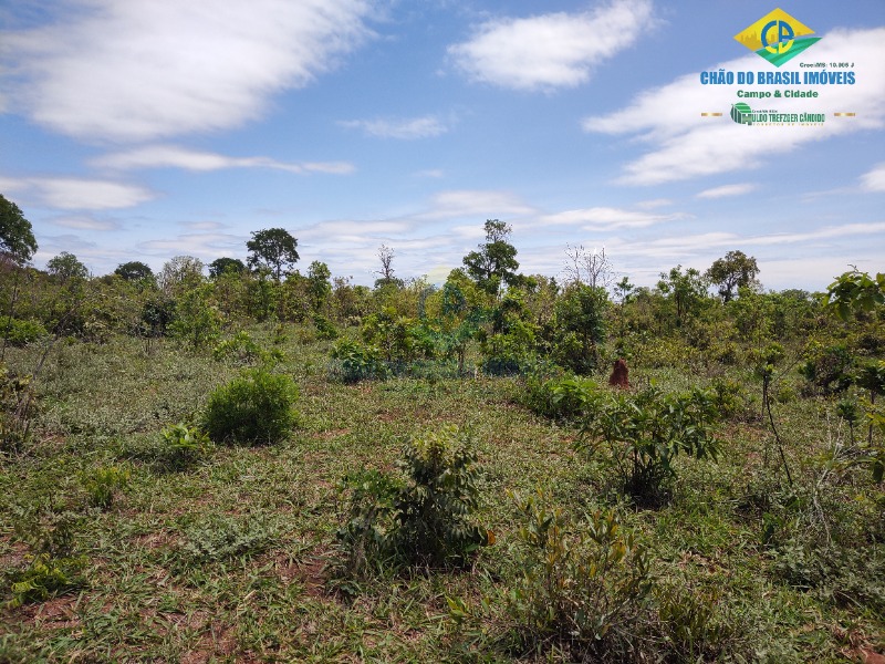 Fazenda à venda com 4 quartos - Foto 24