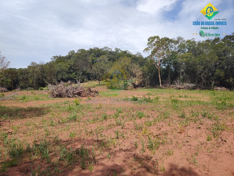 Fazenda à venda com 3 quartos - Foto 46