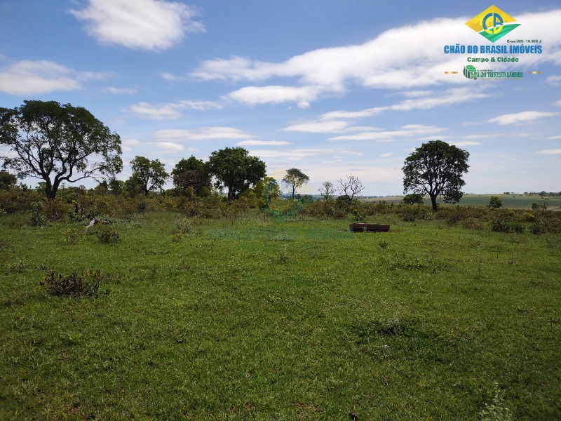 Fazenda à venda com 4 quartos - Foto 34