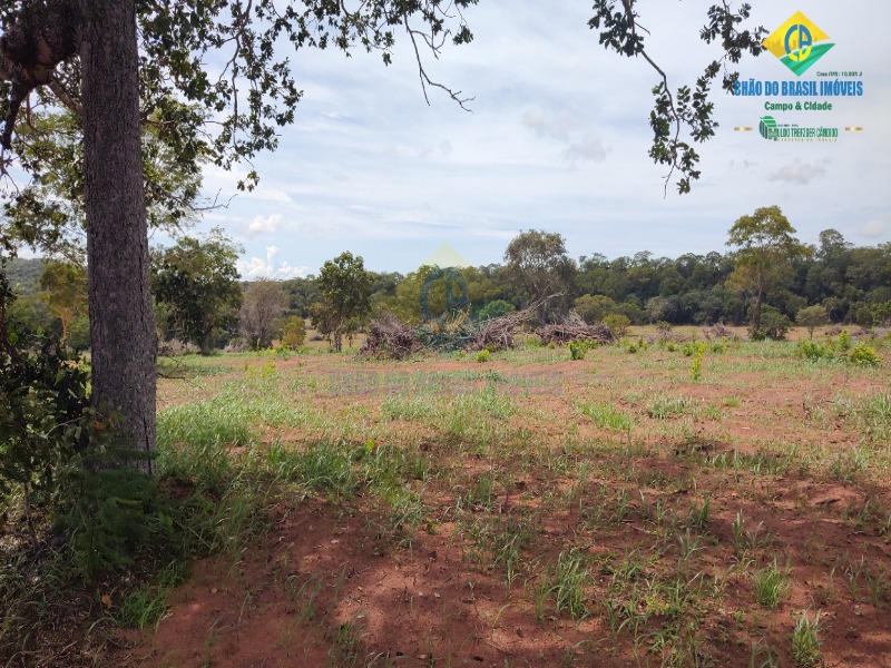 Fazenda à venda com 3 quartos - Foto 44