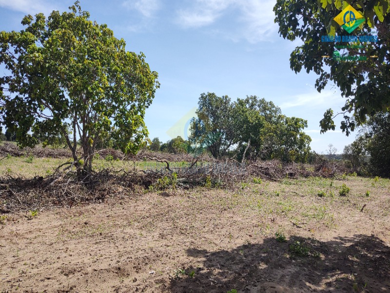 Fazenda à venda com 3 quartos - Foto 27