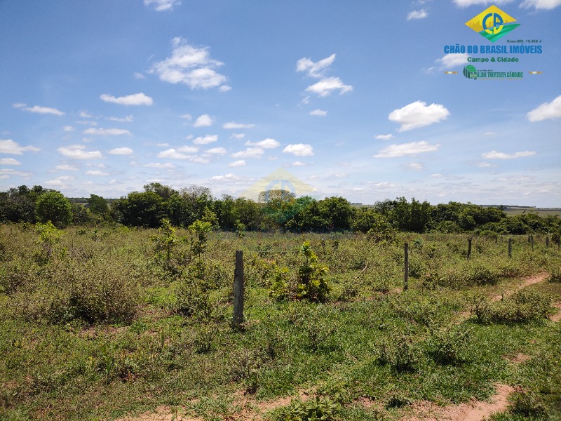 Fazenda à venda com 4 quartos - Foto 50