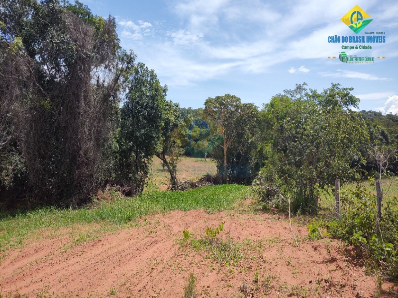 Fazenda à venda com 3 quartos - Foto 51