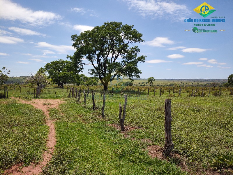 Fazenda à venda com 4 quartos - Foto 32