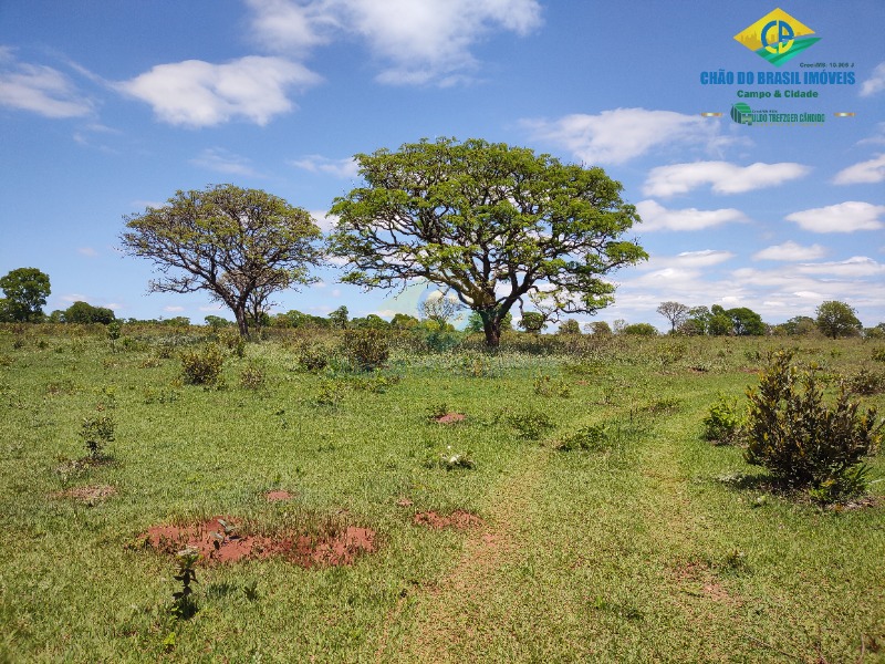 Fazenda à venda com 4 quartos - Foto 2