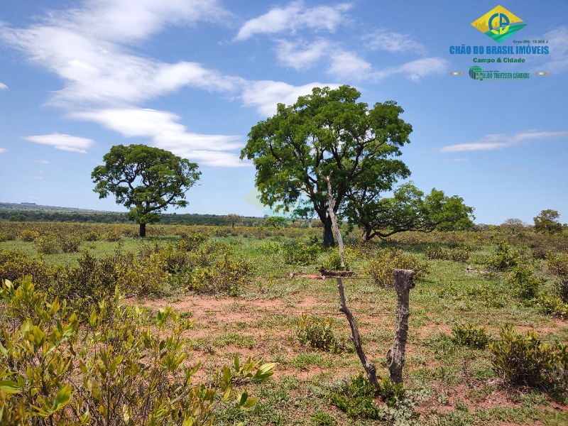 Fazenda à venda com 4 quartos - Foto 38