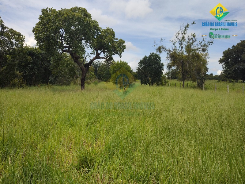 Fazenda à venda com 3 quartos - Foto 65