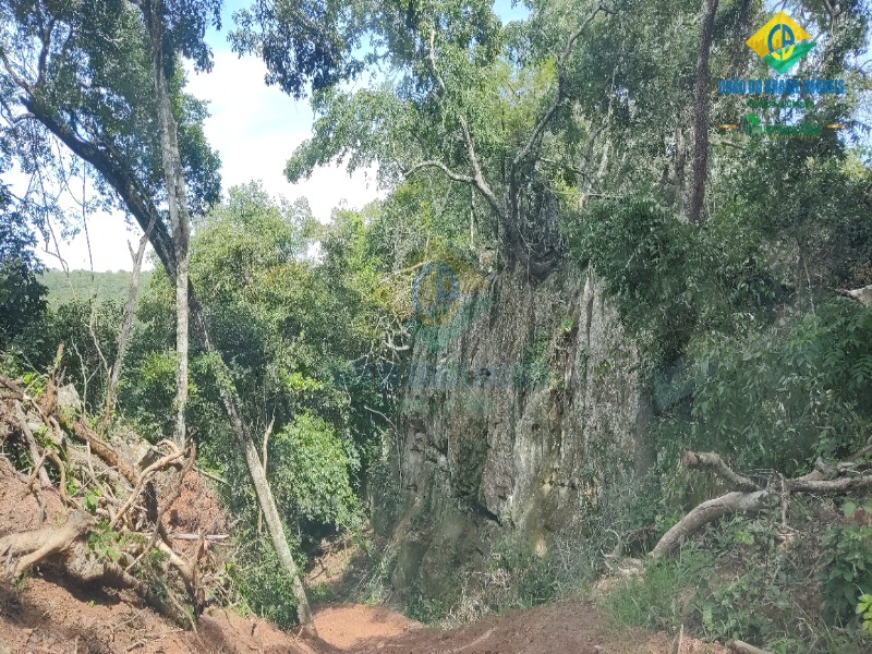 Fazenda à venda com 3 quartos - Foto 39