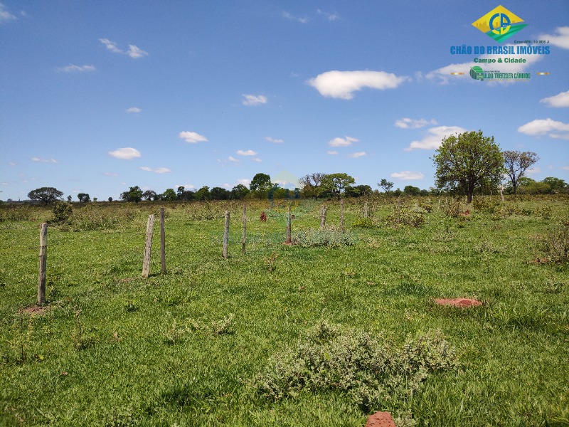 Fazenda à venda com 4 quartos - Foto 44