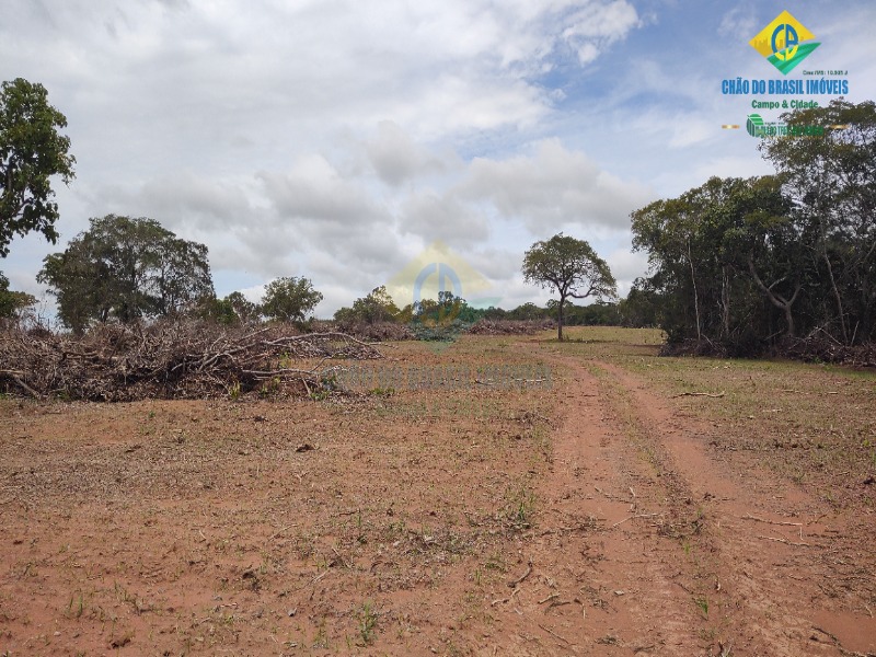 Fazenda à venda com 3 quartos - Foto 59