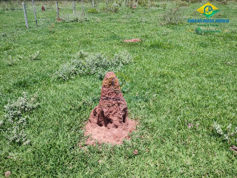 Fazenda à venda com 4 quartos - Foto 36