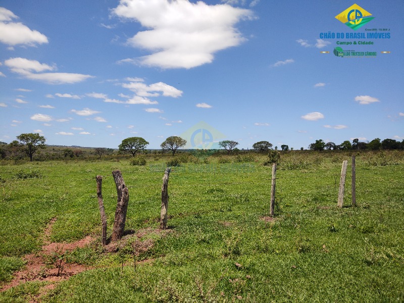 Fazenda à venda com 4 quartos - Foto 45