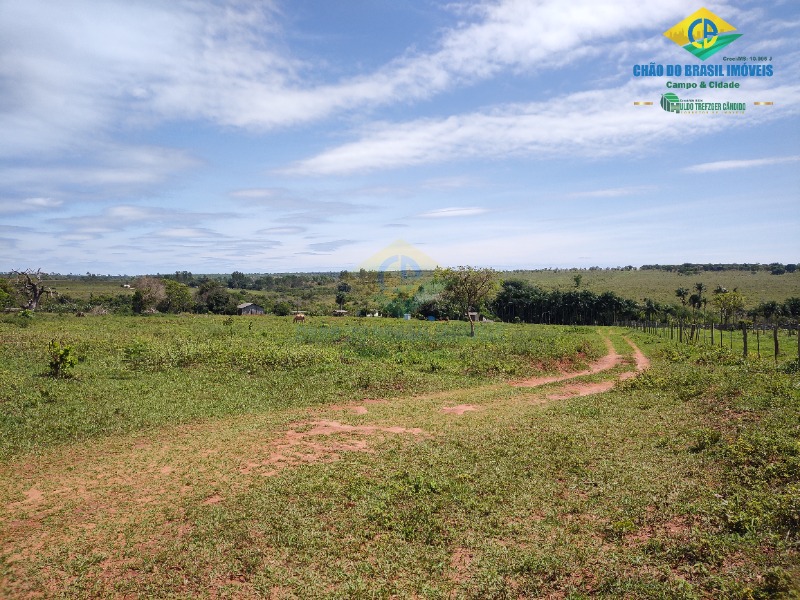 Fazenda à venda com 4 quartos - Foto 7