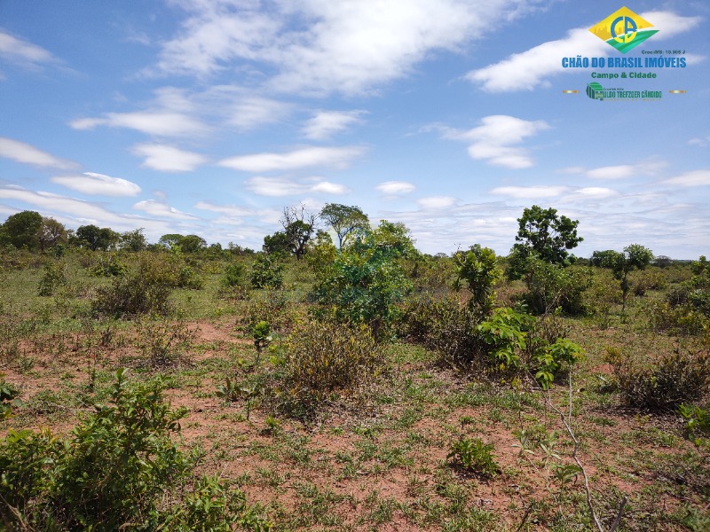 Fazenda à venda com 4 quartos - Foto 37