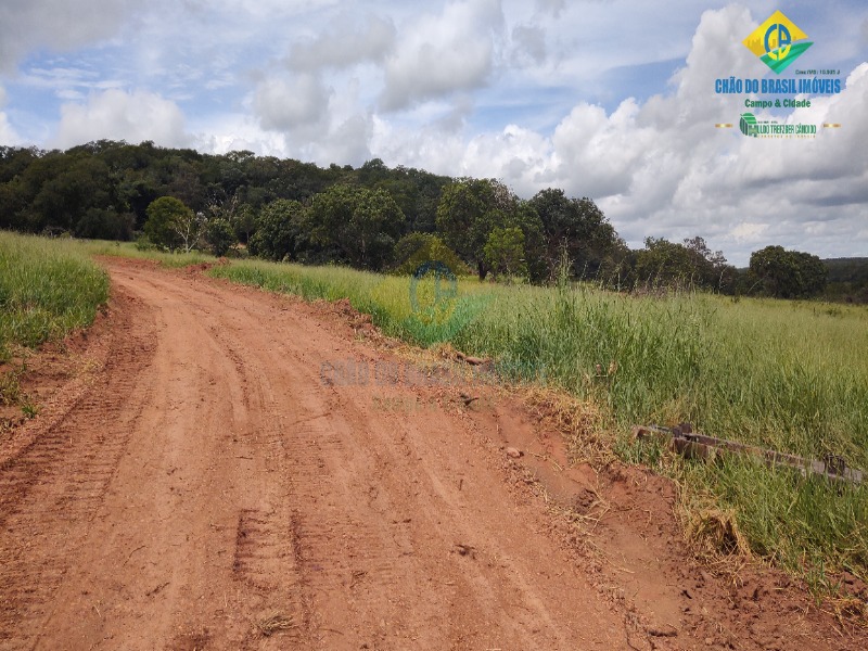 Fazenda à venda com 3 quartos - Foto 69