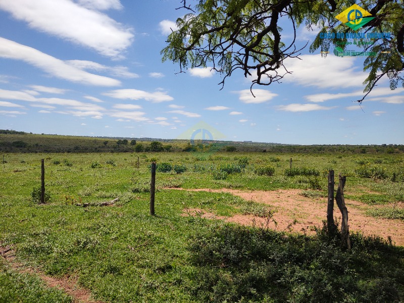 Fazenda à venda com 4 quartos - Foto 39