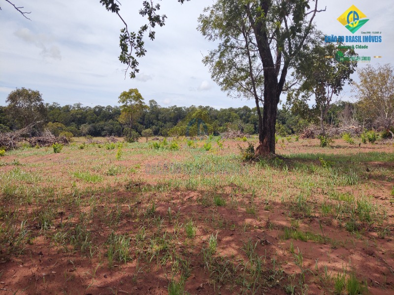 Fazenda à venda com 3 quartos - Foto 47