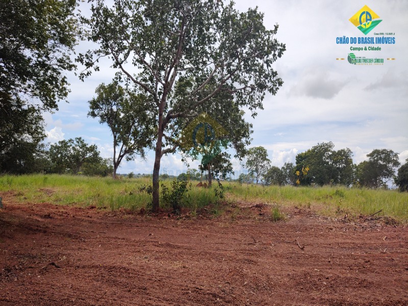 Fazenda à venda com 3 quartos - Foto 64