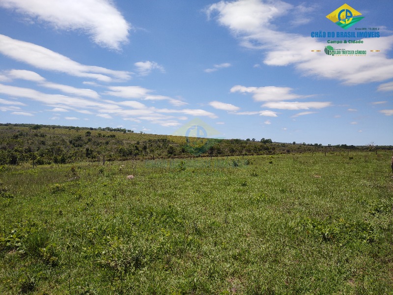 Fazenda à venda com 4 quartos - Foto 41