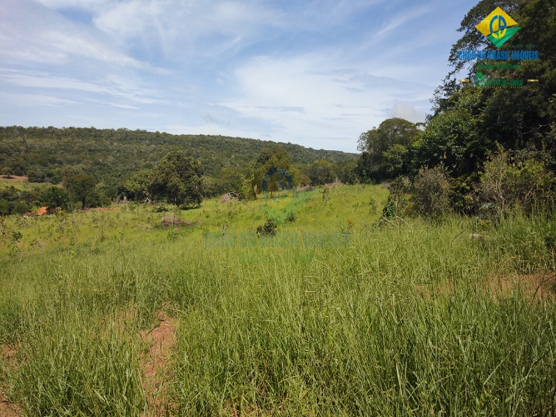 Fazenda à venda com 3 quartos - Foto 41