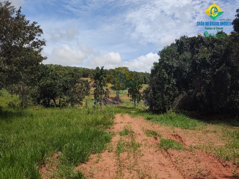 Fazenda à venda com 3 quartos - Foto 50