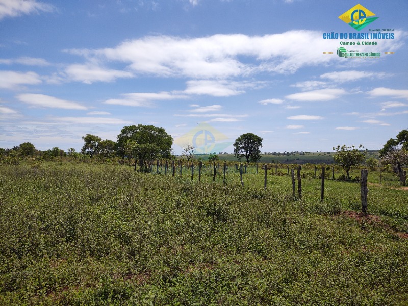 Fazenda à venda com 4 quartos - Foto 31