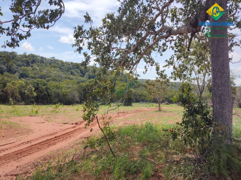 Fazenda à venda com 3 quartos - Foto 45