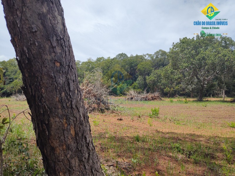 Fazenda à venda com 3 quartos - Foto 57