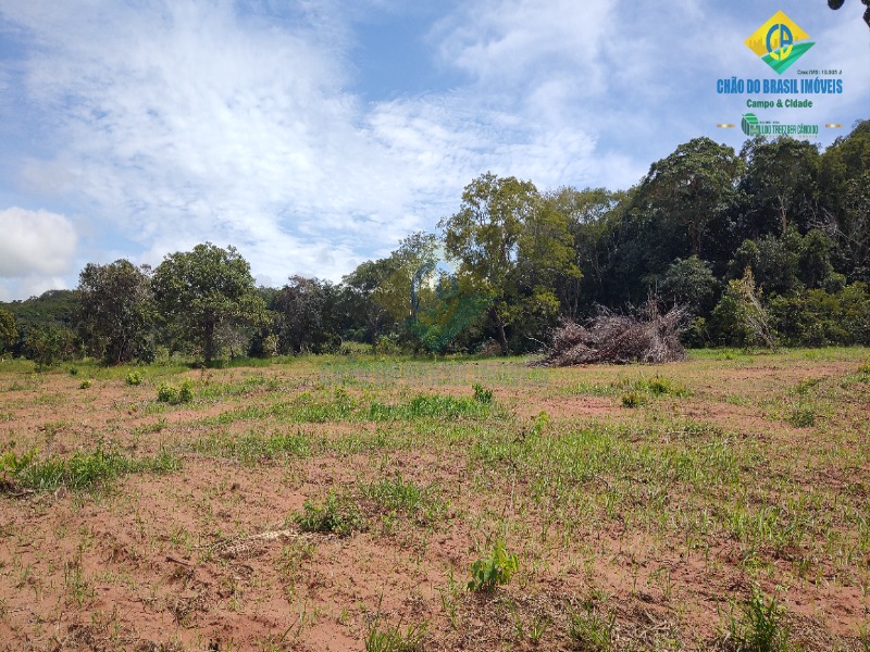 Fazenda à venda com 3 quartos - Foto 43