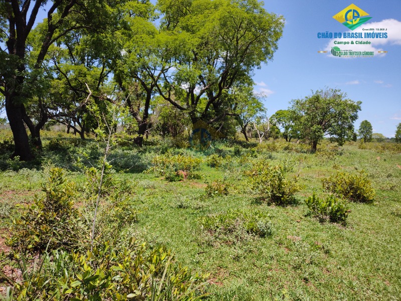 Fazenda à venda com 4 quartos - Foto 3