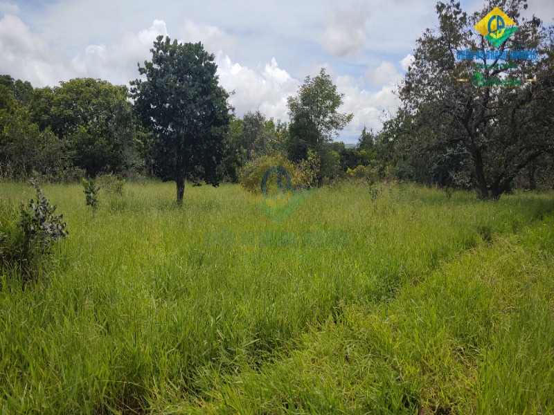 Fazenda à venda com 3 quartos - Foto 66