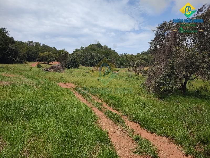 Fazenda à venda com 3 quartos - Foto 49